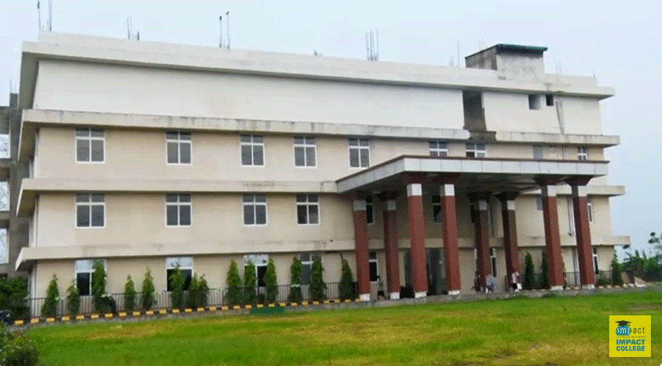 Impact College